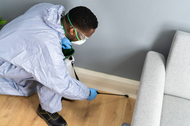 Best Pest Prevention Services  in Canton, IL